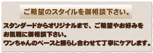 ご希望のスタイルを御相談下さい。/スタンダードからオリジナルまで、ご希望やお好みをお気軽にご相談下さい。ワンちゃんのペースと照らし合わせて丁寧にケアします。