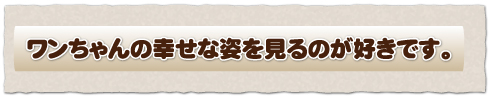 ワンちゃんの幸せな姿を見るのが好きです。